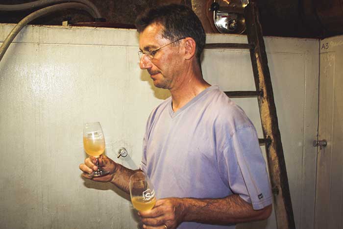 Vinification au Domaine Sauvète